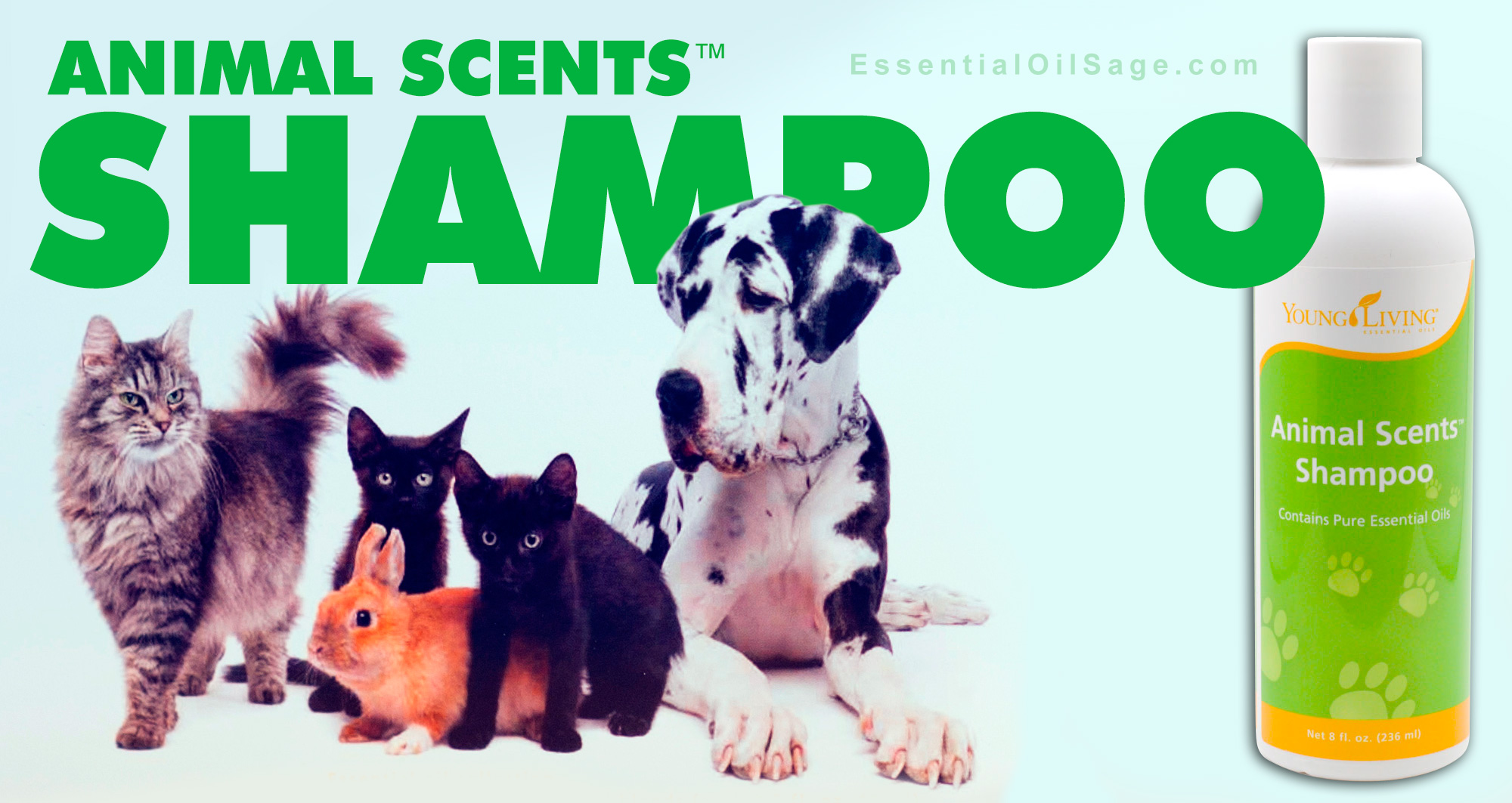 Young Living Animal Scents Shampoo