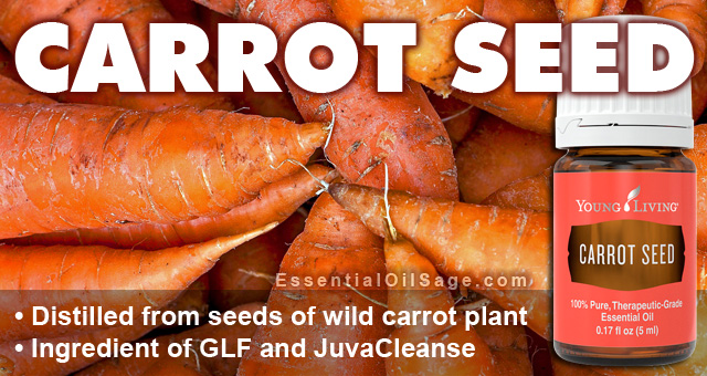 Young Living Carrot Seed Oil