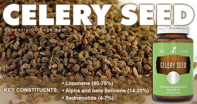 Young Living Celery Seed Essential Oil