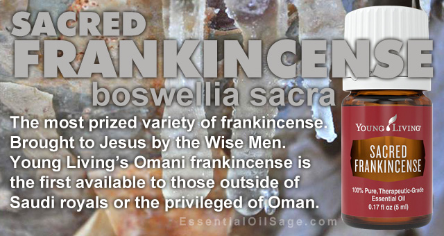 Young Living Sacred Frankincense Oil - Boswellia Sacra