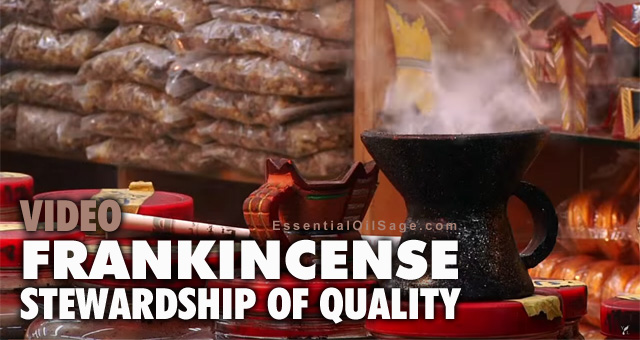 Frankincense Quality Videos