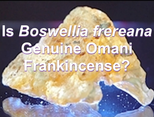 Boswellia frereana does not come from Oman