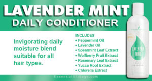 Young Living Lavender Mint Daily Conditioner