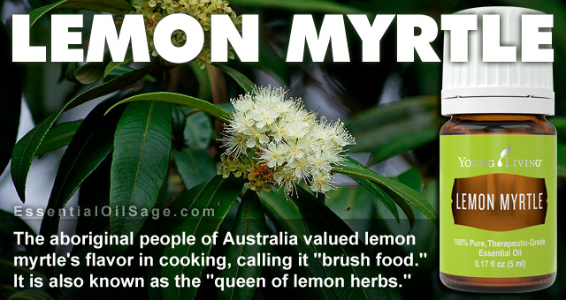 Young Living Lemon Myrtle Oil