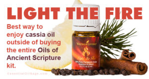 Young Living Light the Fire Oil