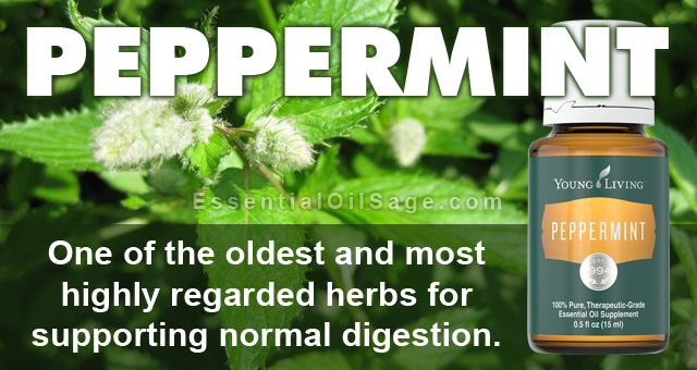Young Living Peppermint Oil