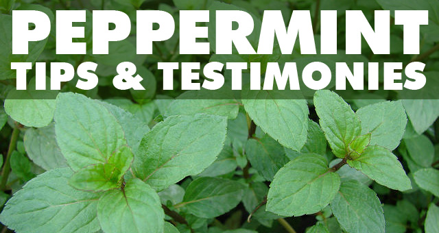 Peppermint Testimonies