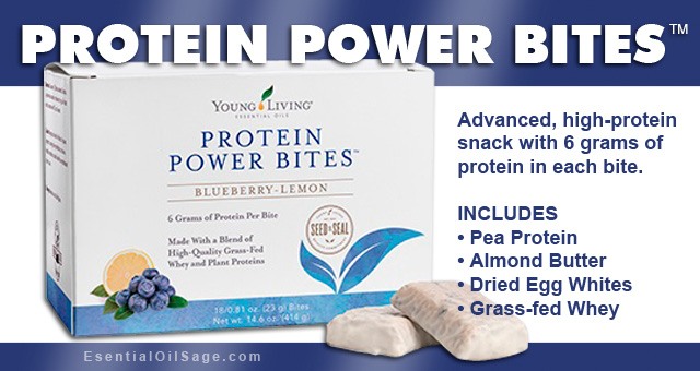 Protein Power Bites