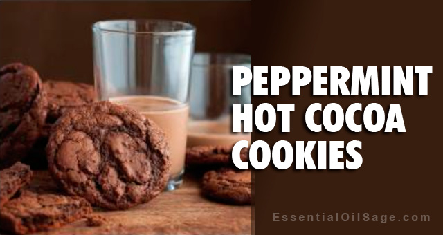 Recipe: Peppermint Hot Cocoa Cookies