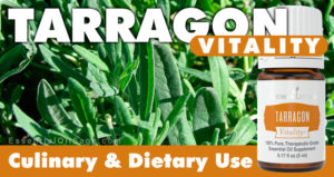 Young Living Tarragon Vitality Oil