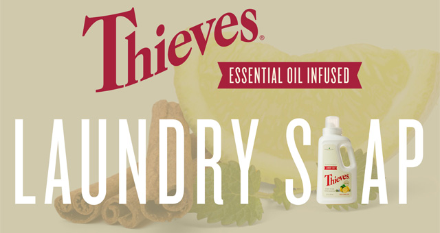 Thieves Laundry Soap Infographic