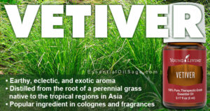 Young Living Vetiver Oil