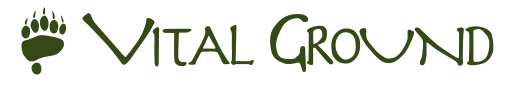 Vital Ground Logo